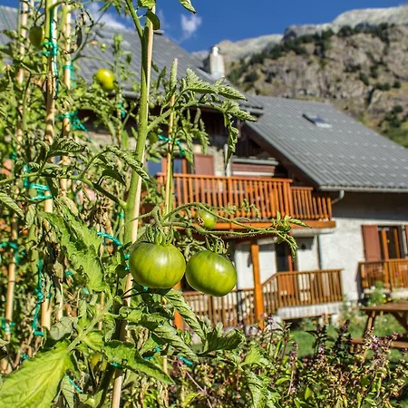 Dibona Chalet *